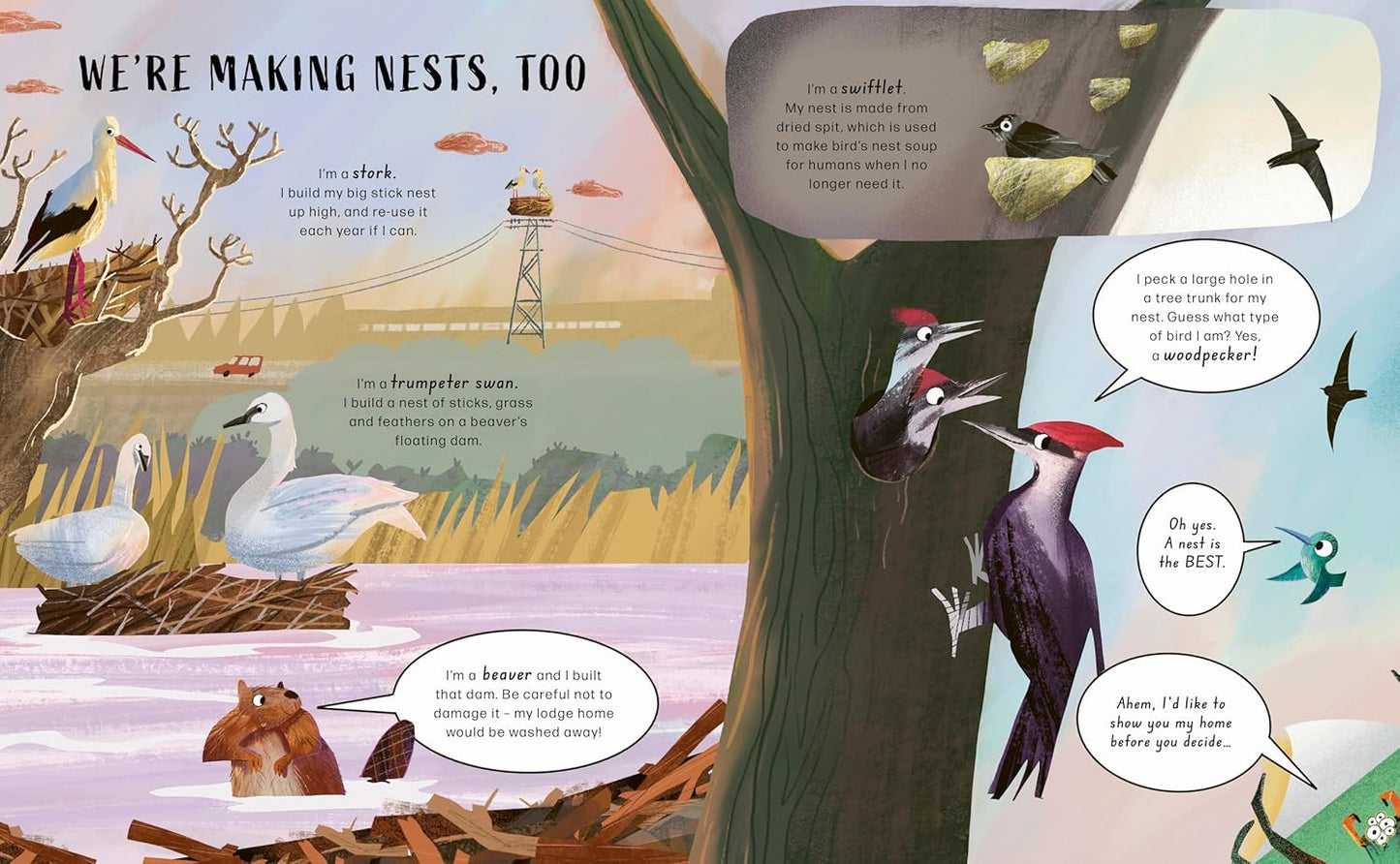 I'm Building a Nest: Find Out How 50 Animals Make Their Homes