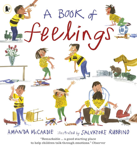 A Book of Feelings - Amanda Mccardie