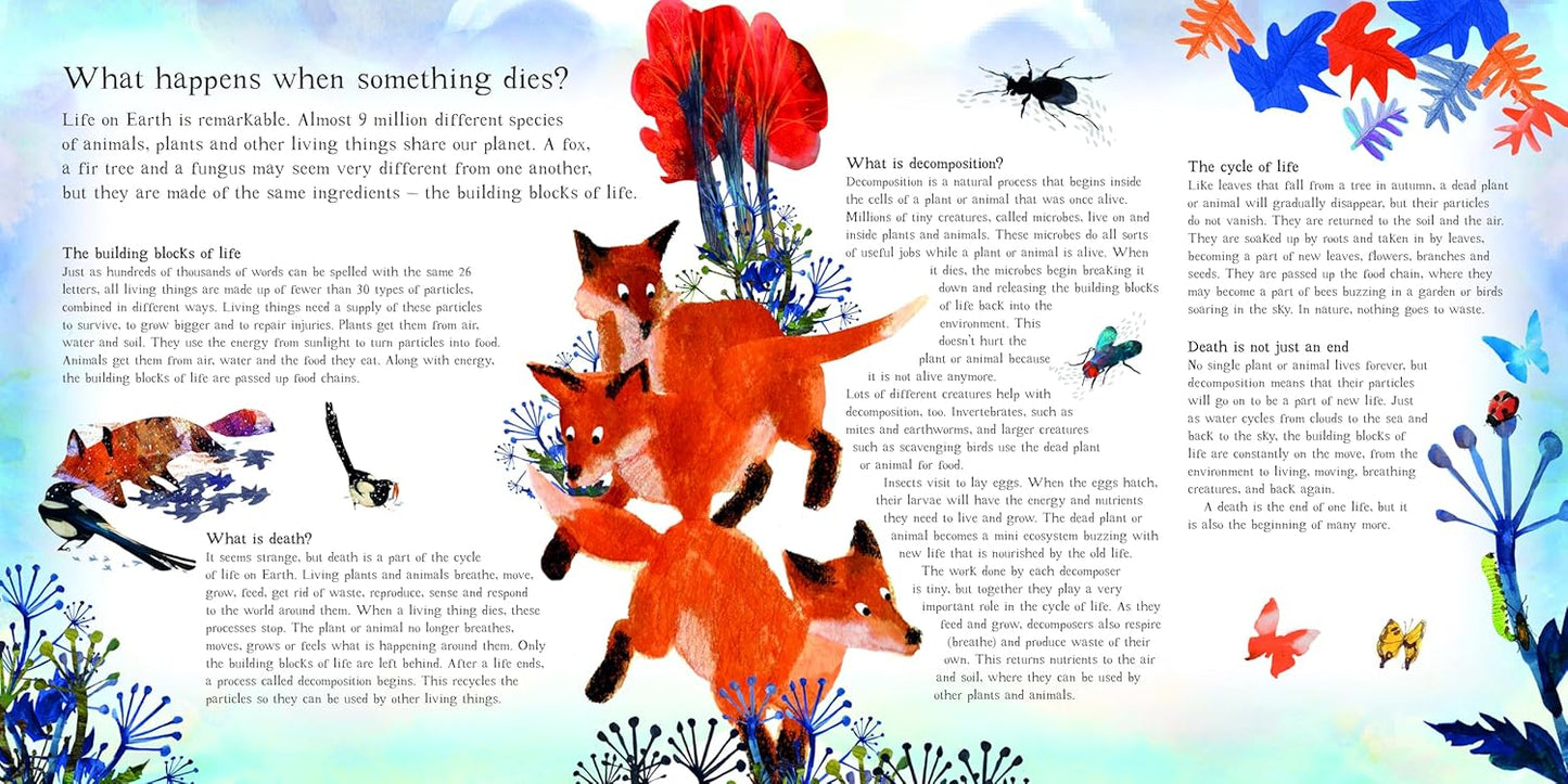 Fox: A Circle of Life Story