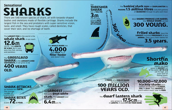 Our World in Numbers Animals: An Encyclopedia of Fantastic Facts