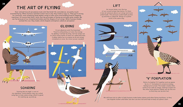 Invented By Animals: Meet the creatures who inspired our everyday technology