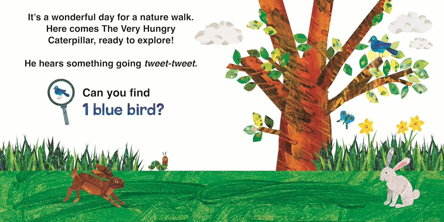 The Very Hungry Caterpillar's Nature Walk - Eric Carle