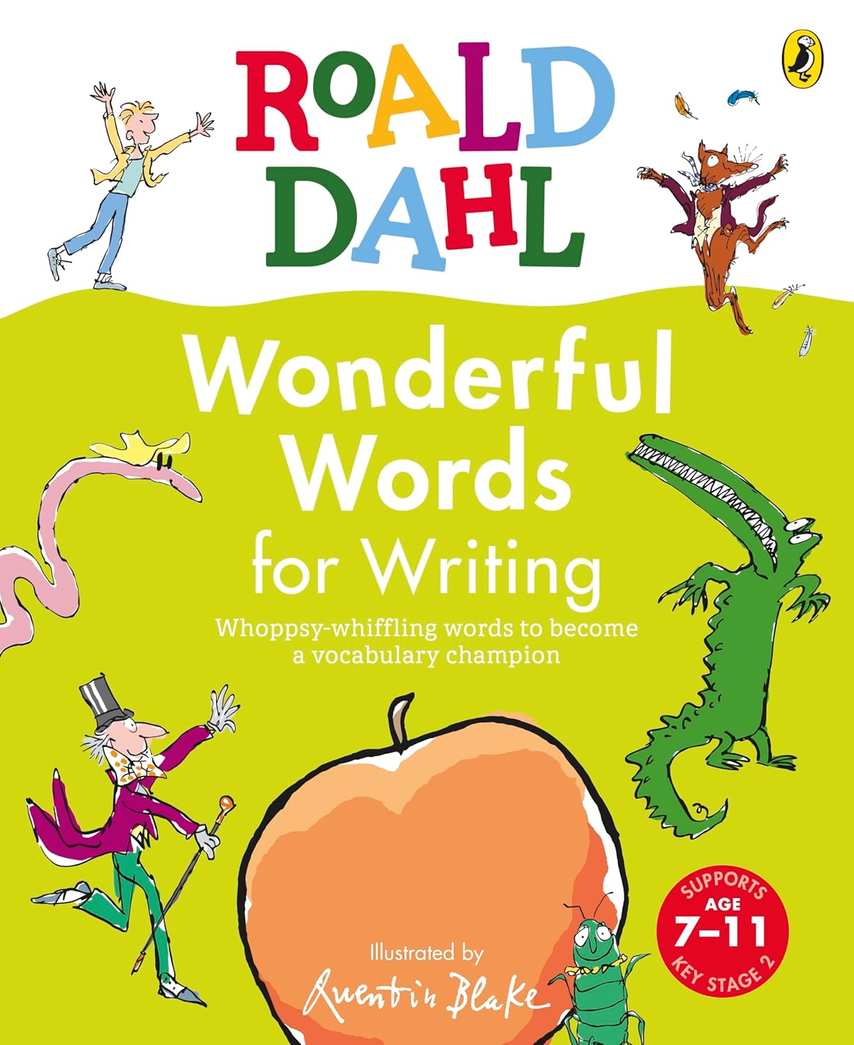 Roald Dahl Wonderful Words for Writing