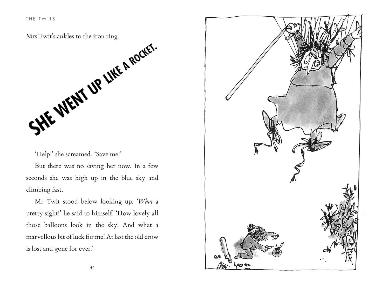 The Twits - Roald Dahl