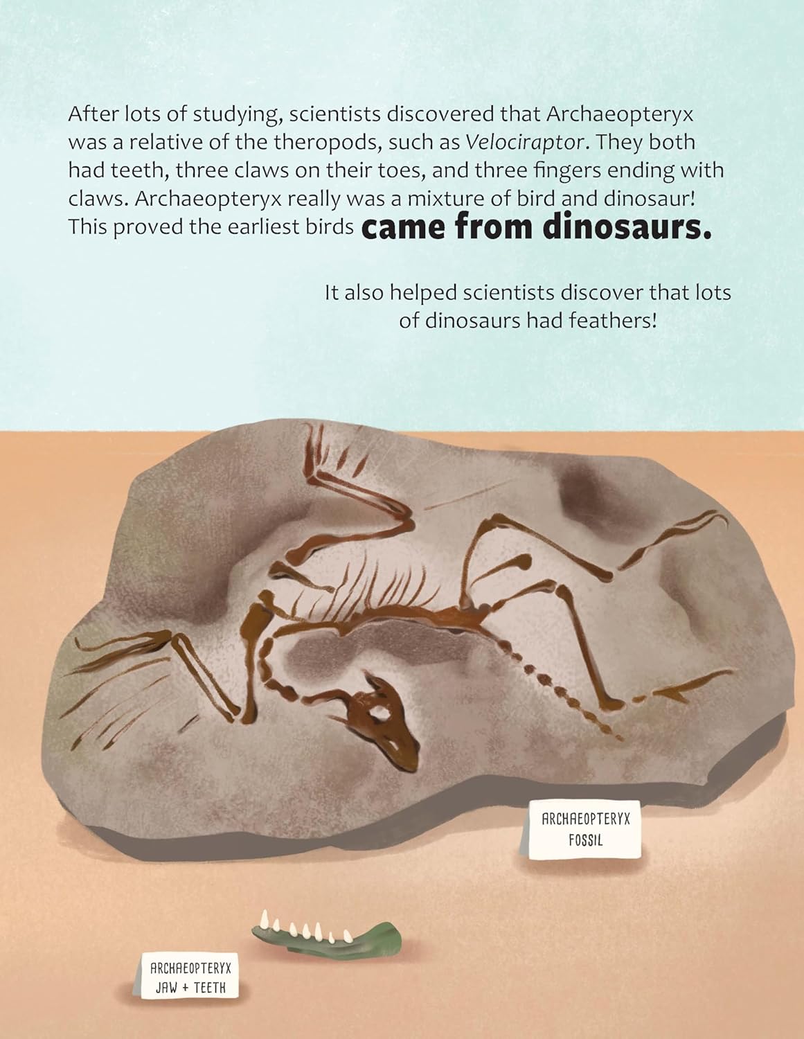 Big Questions Answered: Are Birds Modern-Day Dinosaurs?