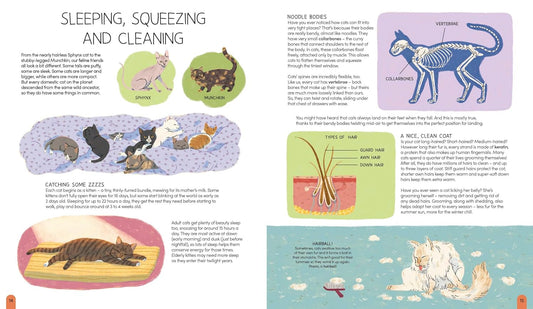 A World of Cats - Carlie Sorosiak