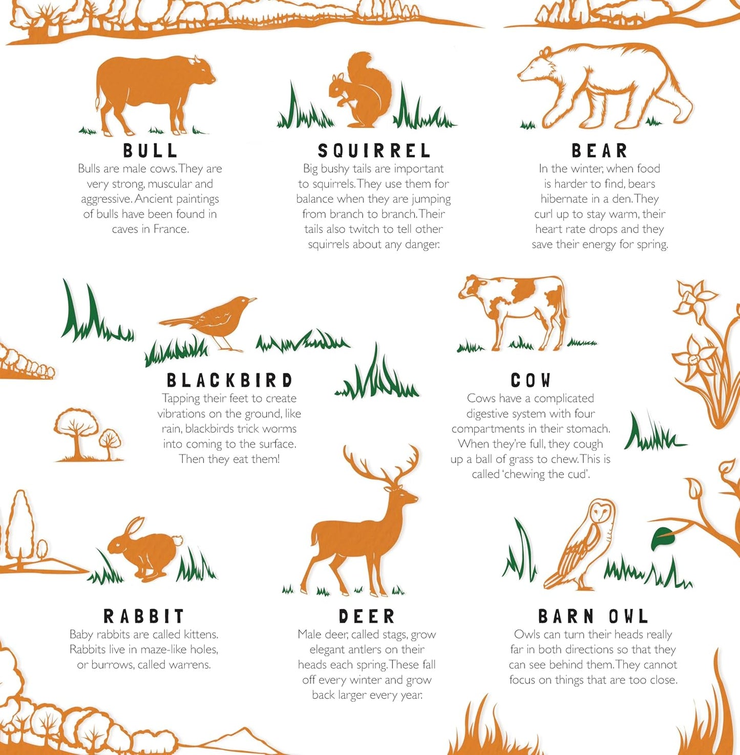 Animal Camouflage (Search and Find)