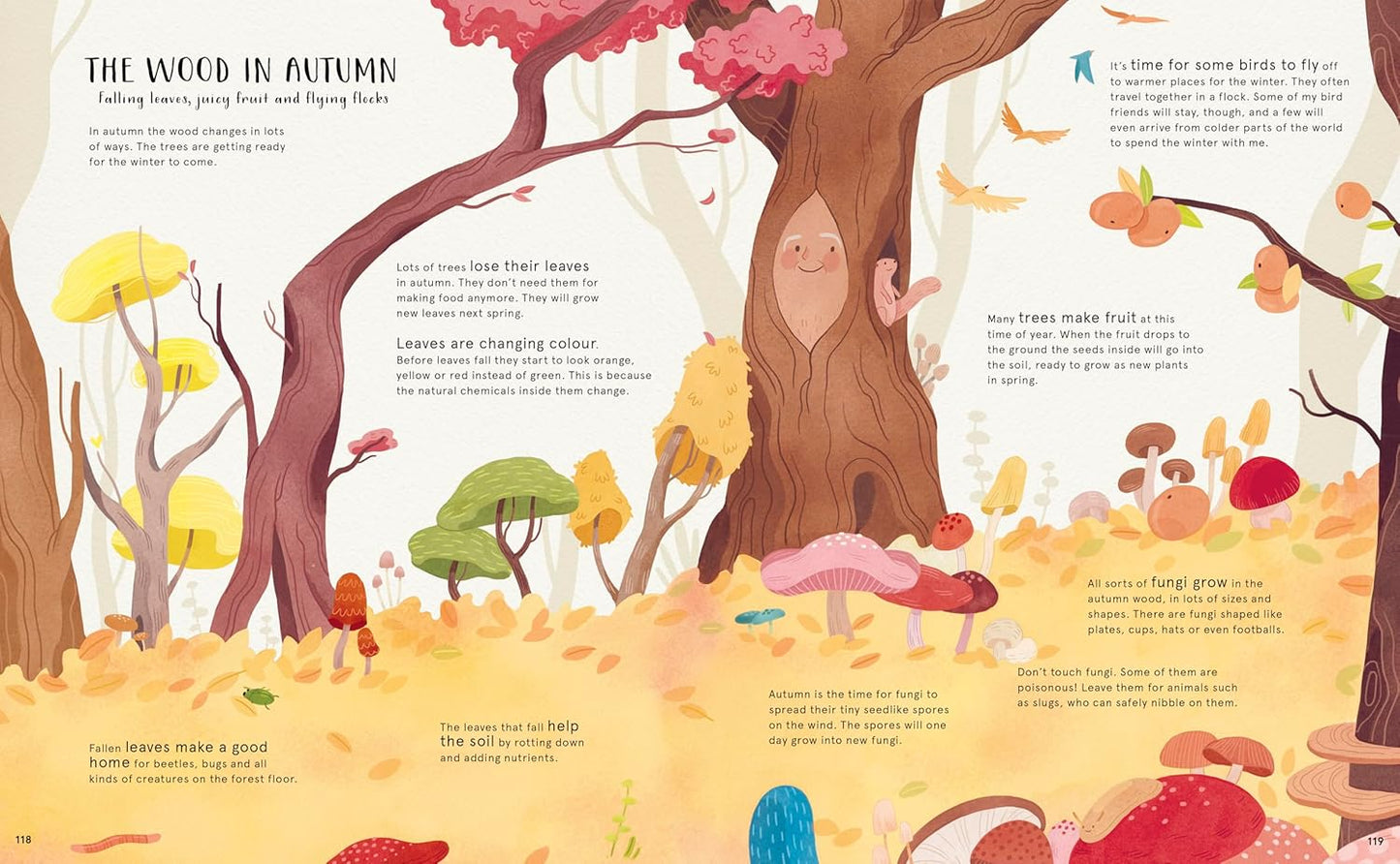 The Secret Life of Bugs, Bees & Trees