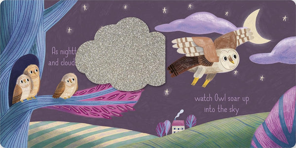 Touch-and-Feel Flaps: Sweet Dreams