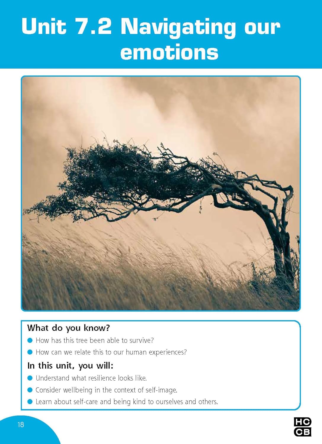 Wellbeing For Kids Book Making Kids Smarter, Happier: Book 3 ( Stages 7-9)