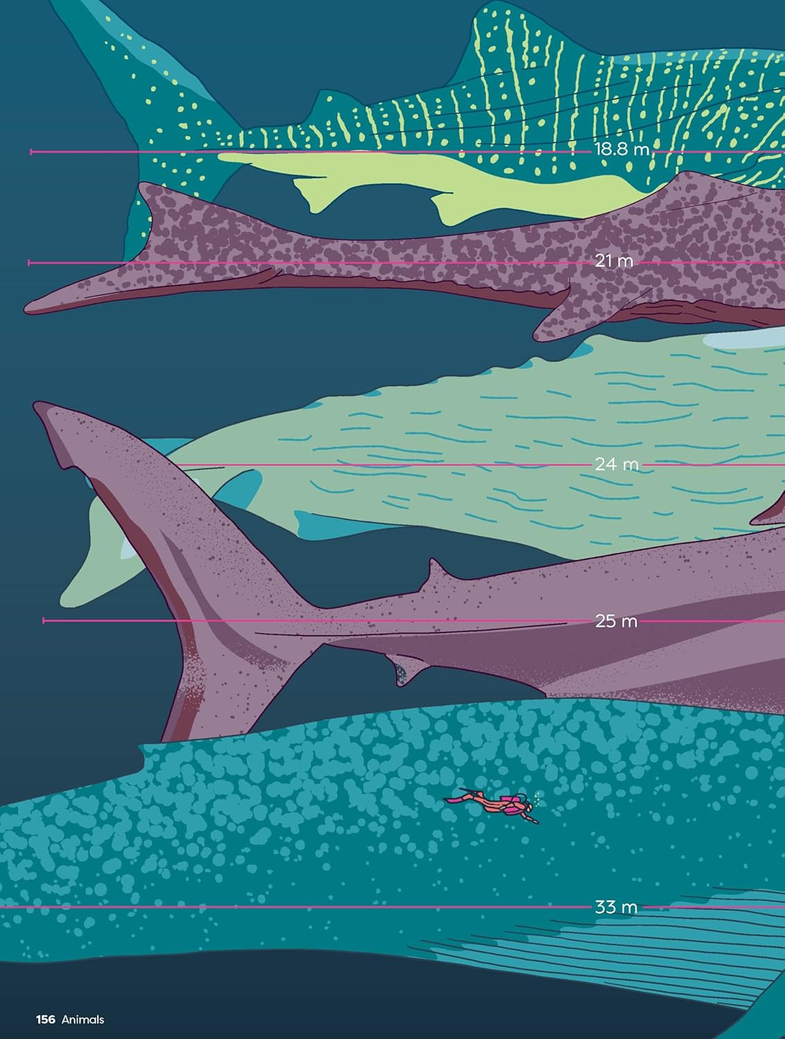 Britannica's Encyclopedia Infographica: 1,000s of Facts & Figures―about Earth, Space, Animals, the Body, Technology & More―Revealed in Pictures