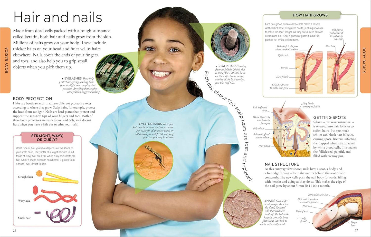 DK Human Body: A Children's Encyclopedia