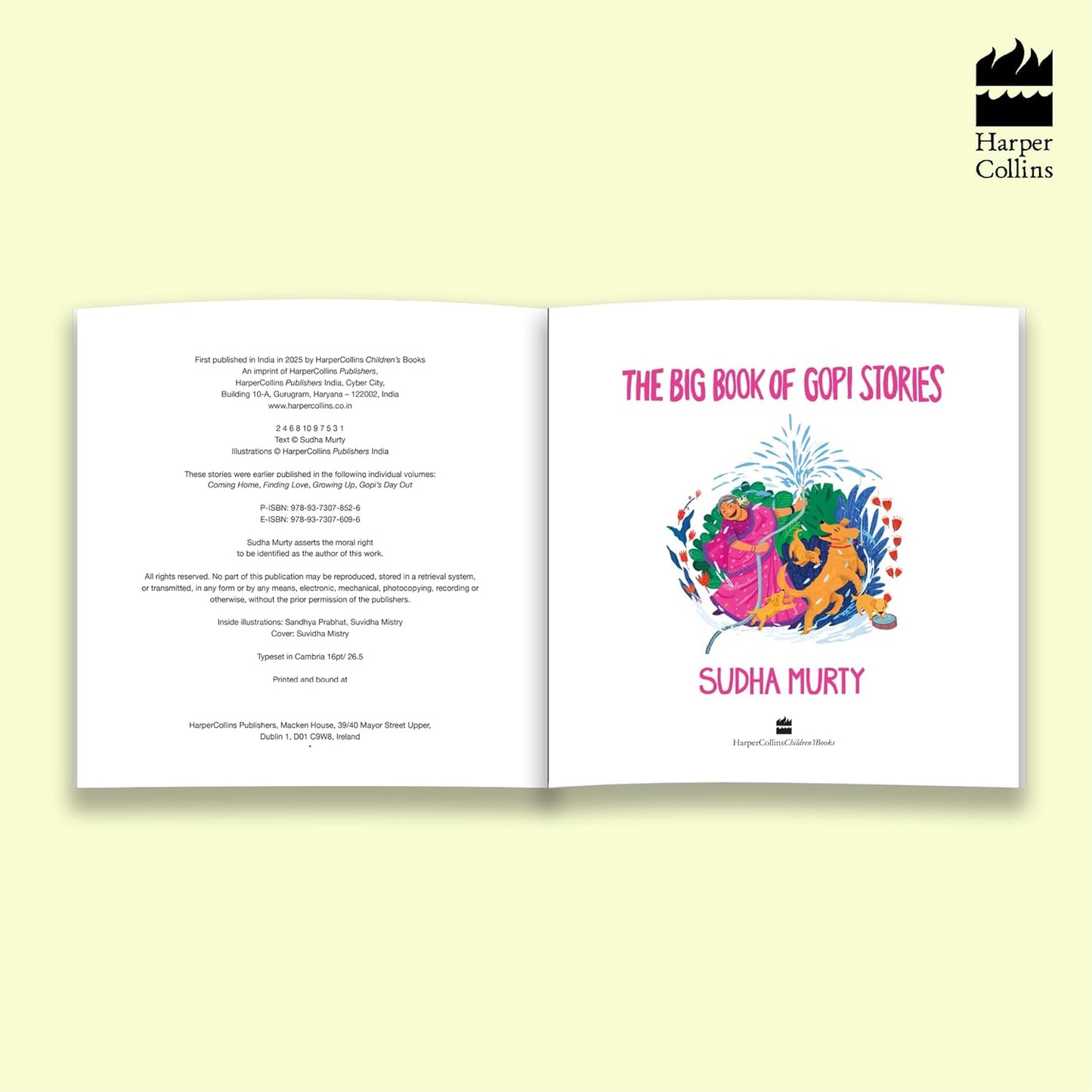 The Big Book Of Gopi Stories