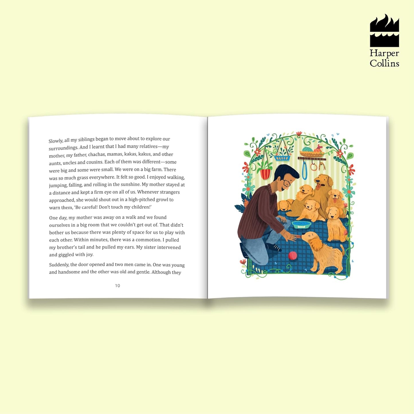 The Big Book Of Gopi Stories