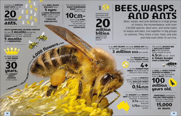 Our World in Numbers Animals: An Encyclopedia of Fantastic Facts