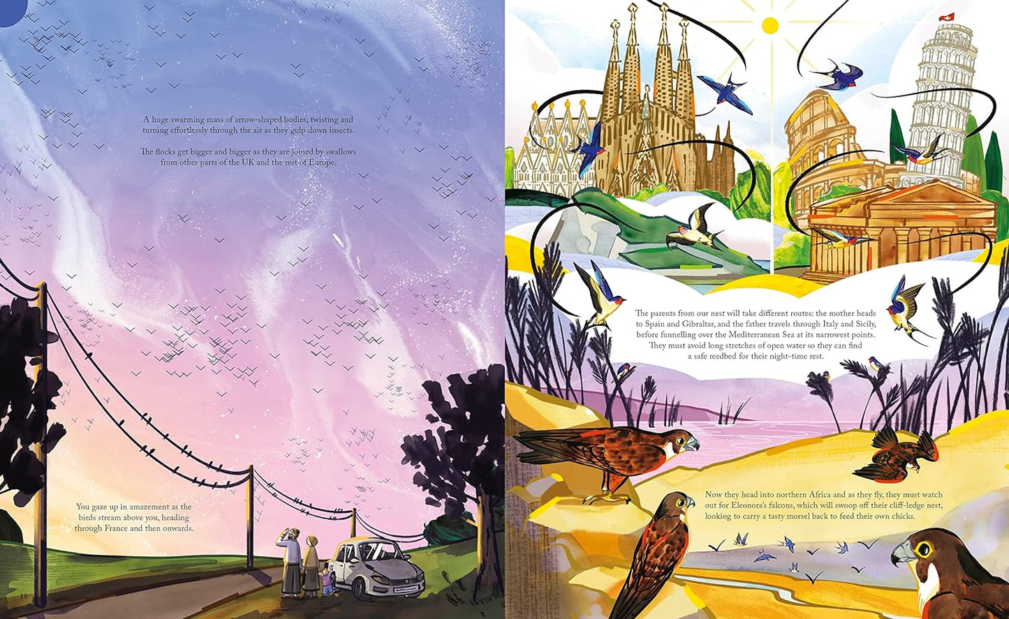 Flight: Explore the Secret Routes of the Skies from a Bird's-Eye View