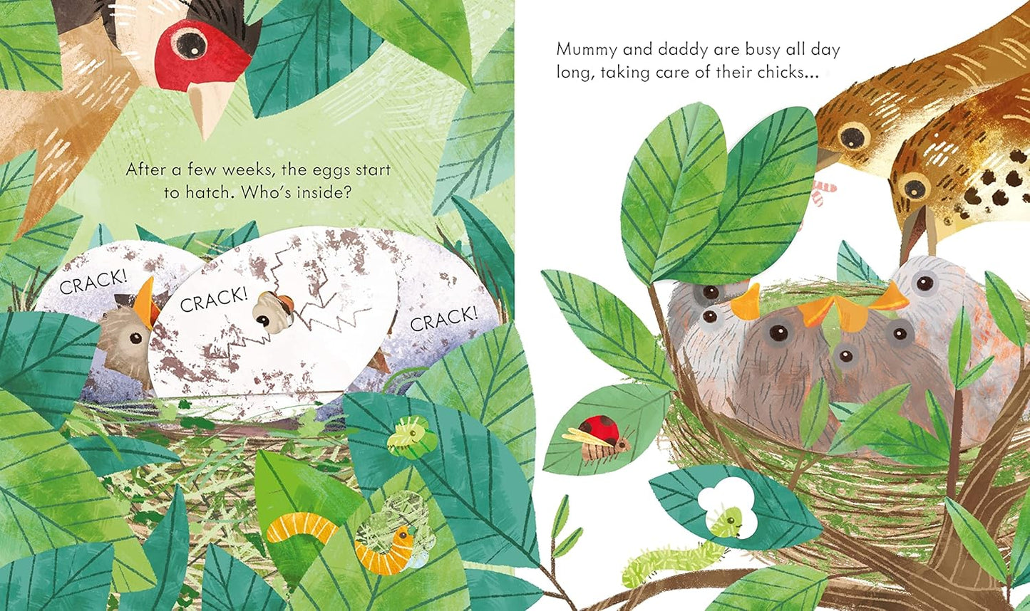 Usborne Peep Inside A Bird's Nest