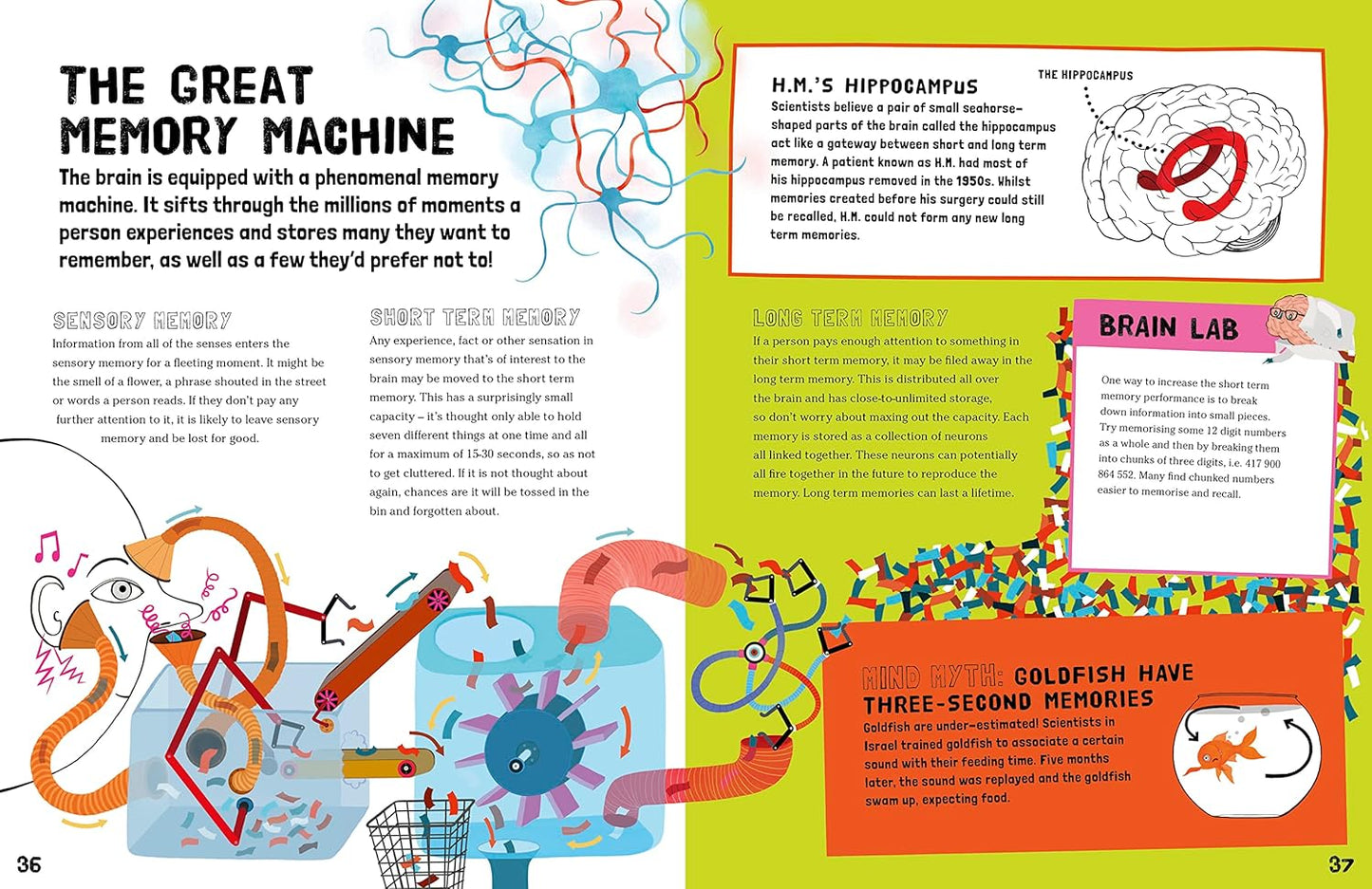 You & Your Amazing Brain: A Book of Brains and How They Work