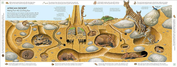 DK Life Underground Tunnel into a World of Wildlife