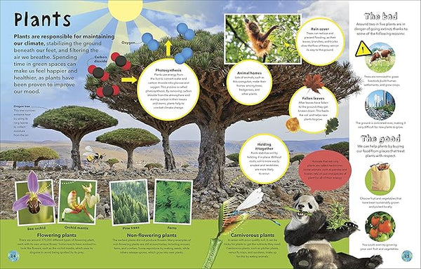 It's a Wonderful World: How To Be Kind To The Planet And Change The Future
