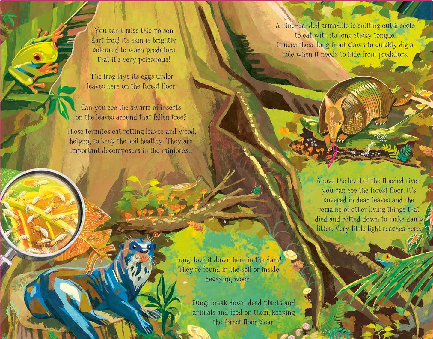 The Forest That Grows Around Me