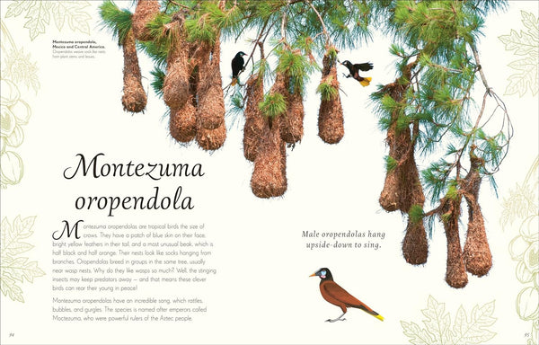 DK An Anthology of Exquisite Birds