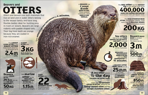 Our World in Numbers Animals: An Encyclopedia of Fantastic Facts