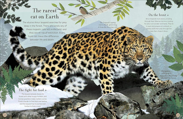 Through The Animal Kingdom