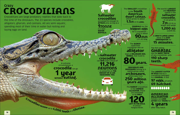 Our World in Numbers Animals: An Encyclopedia of Fantastic Facts