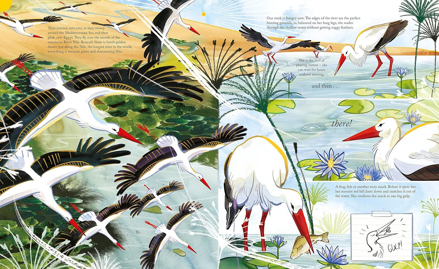 Flight: Explore the Secret Routes of the Skies from a Bird's-Eye View