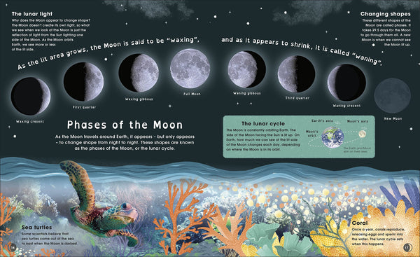 The Moon: Discover the Mysteries of Earth's Closest Neighbour