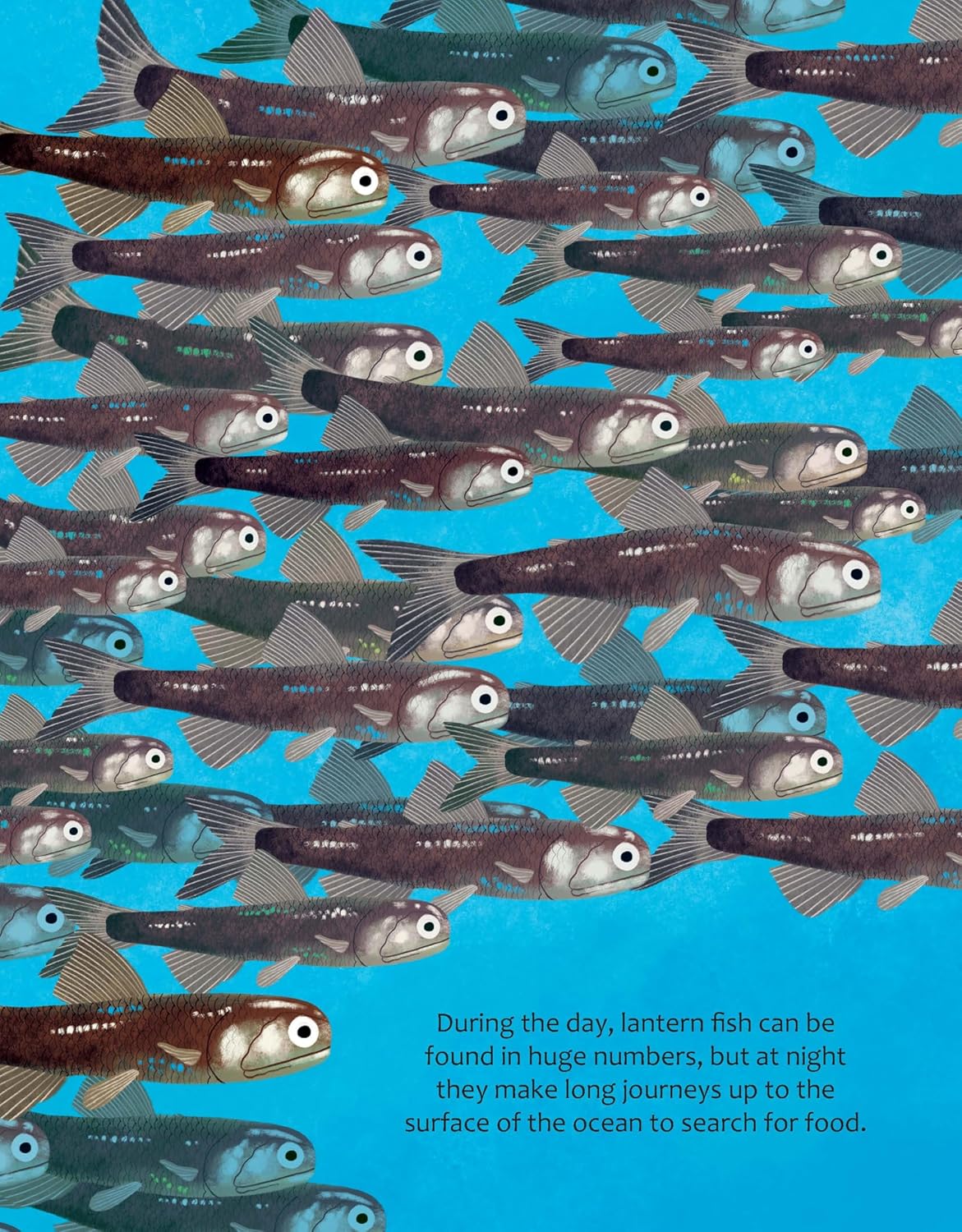 Big Questions Answered: How Do Oceans Help Us Breathe?