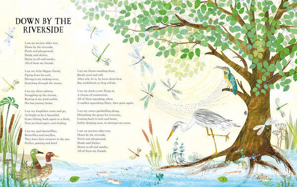 My Heart was a Tree: Poems and Stories to Celebrate Trees