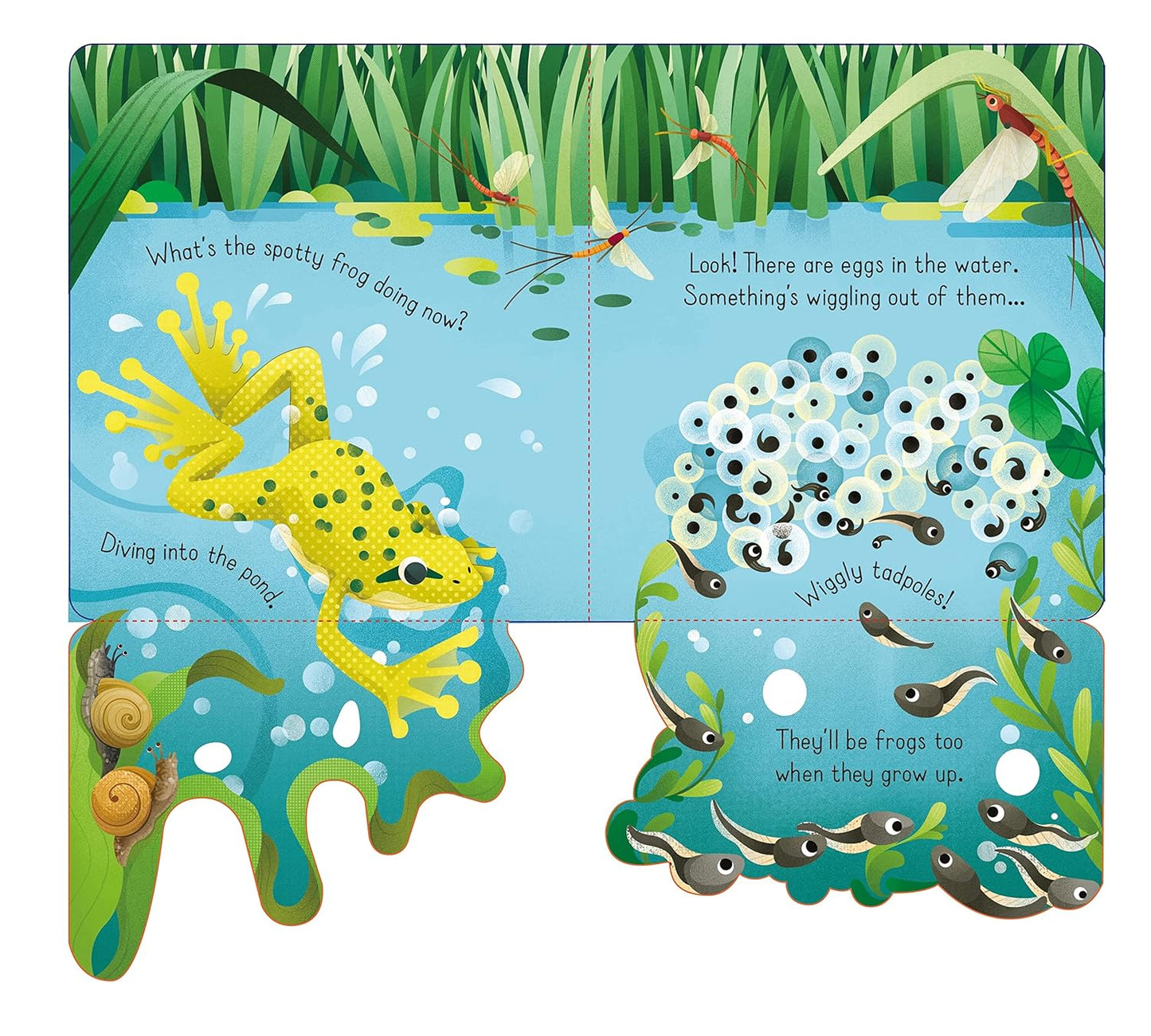 Usborne Little Lift And Look Spotty Frog