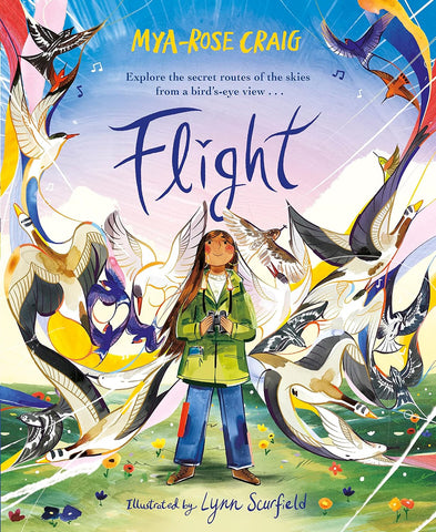 Flight: Explore the Secret Routes of the Skies from a Bird's-Eye View