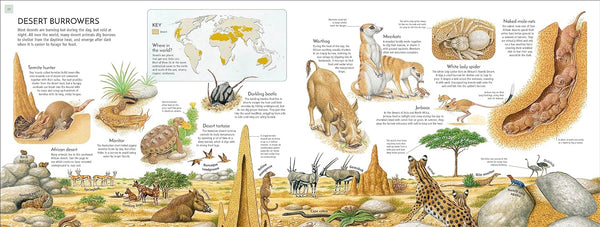 DK Life Underground Tunnel into a World of Wildlife
