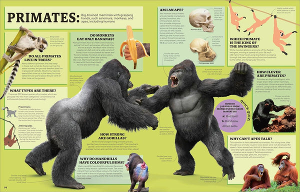DK 1,000 Curious Questions And 1,000 Amazing Answers