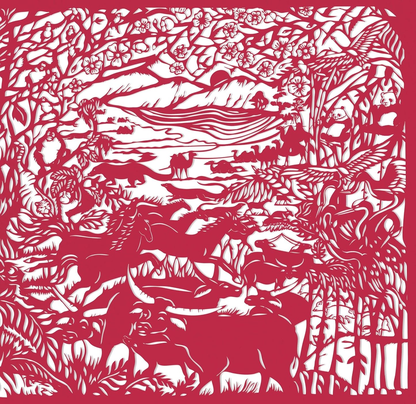 Animal Camouflage (Search and Find)