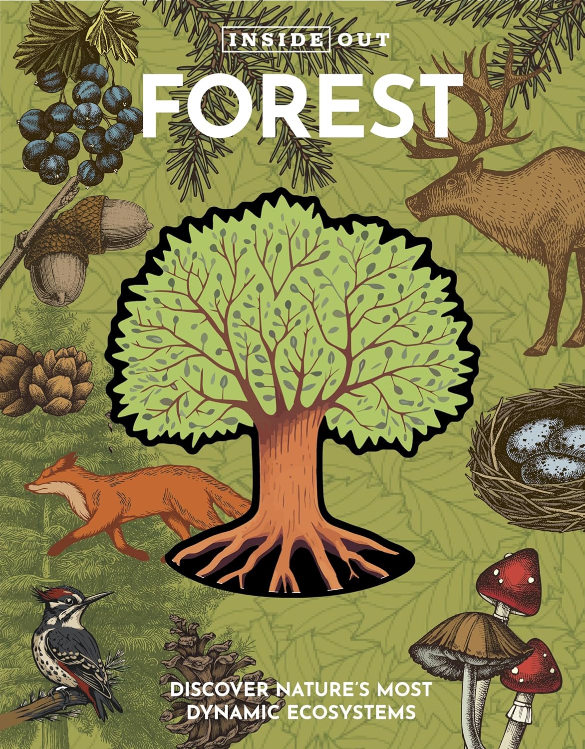 Inside Out Forest: Discover Nature's Most Dynamic Ecosystems