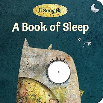 A Book of Sleep
