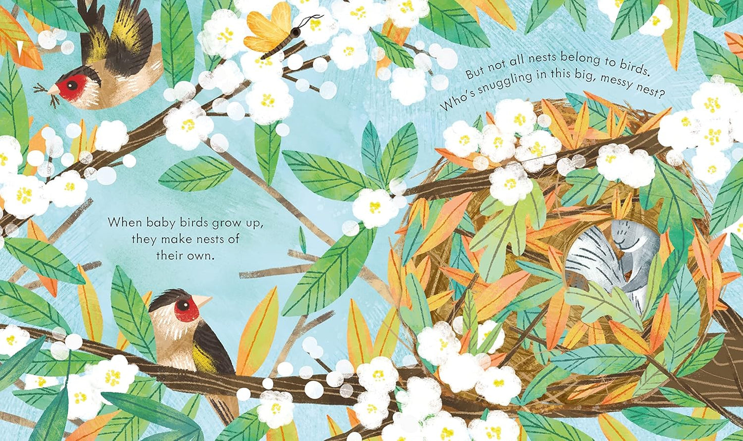 Usborne Peep Inside A Bird's Nest