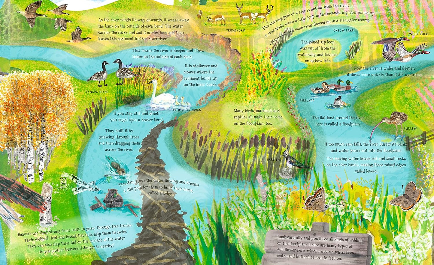 The River That Flows Beside Me