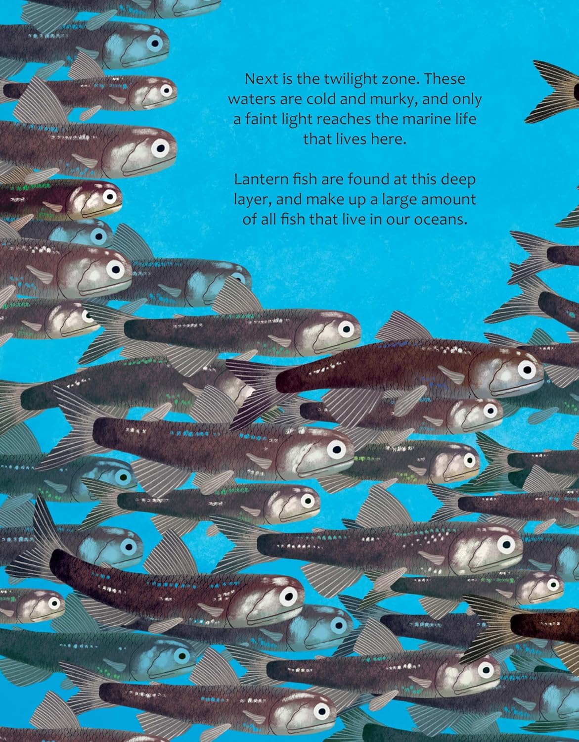 Big Questions Answered: How Do Oceans Help Us Breathe?