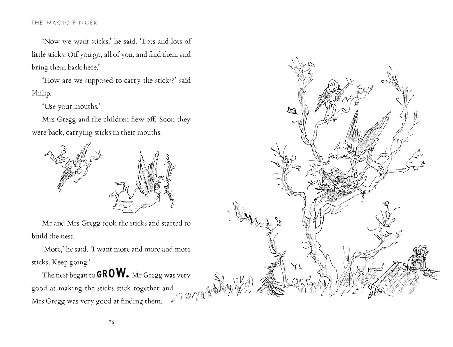 The Magic Finger - Roald Dahl