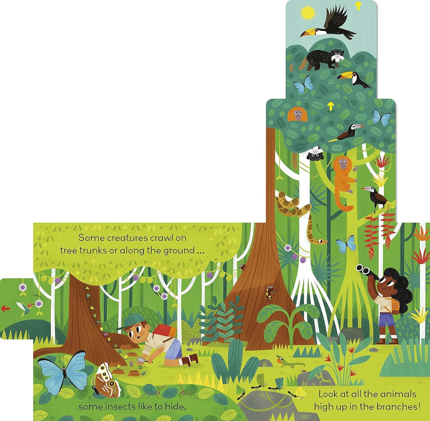 Little World: Jungle Journey: A Push-and-Pull Adventure