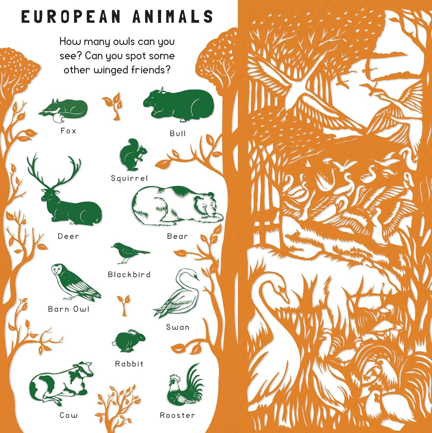 Animal Camouflage (Search and Find)
