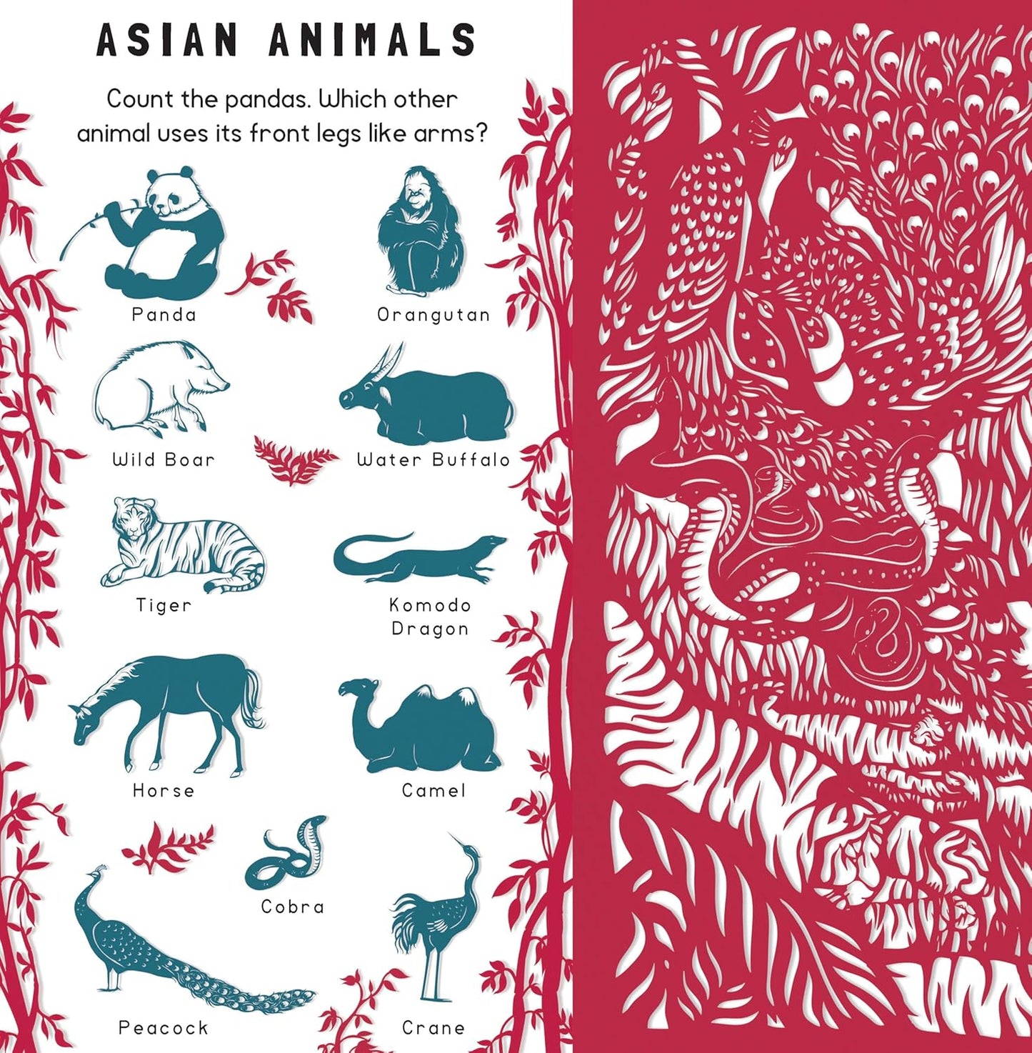 Animal Camouflage (Search and Find)