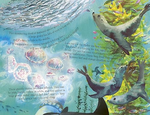 The Sea Below My Toes