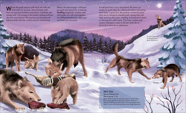 My Animal Family: Meet The Different Families of the Animal Kingdom