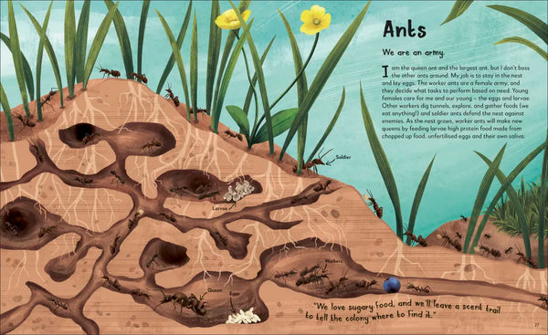 My Animal Family: Meet The Different Families of the Animal Kingdom